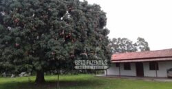 Fazenda Produtiva 3.260 hectares Lavoura de Cana e Eucalipto | João Pinheiro/MG Fazenda Produtiva 3.260 hectares Lavoura de Cana e Eucalipto | João Pinheiro/MG