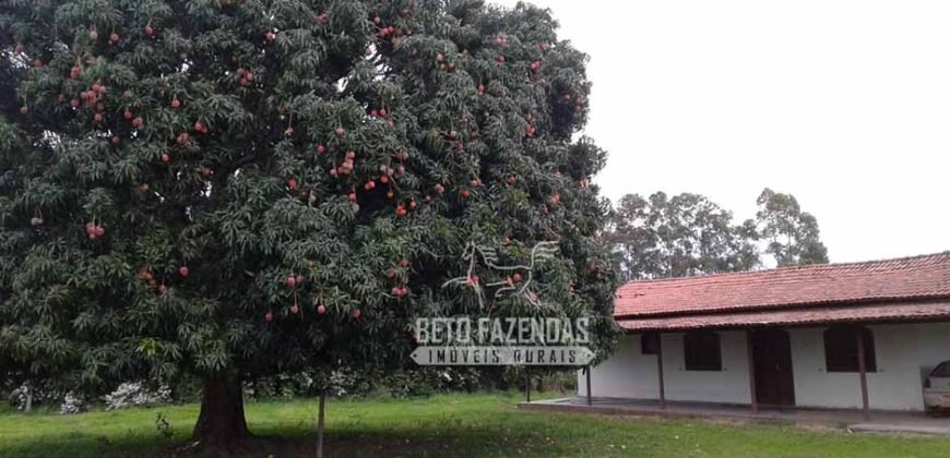 Fazenda Produtiva 3.260 hectares Lavoura de Cana e Eucalipto | João Pinheiro/MG Fazenda Produtiva 3.260 hectares Lavoura de Cana e Eucalipto | João Pinheiro/MG