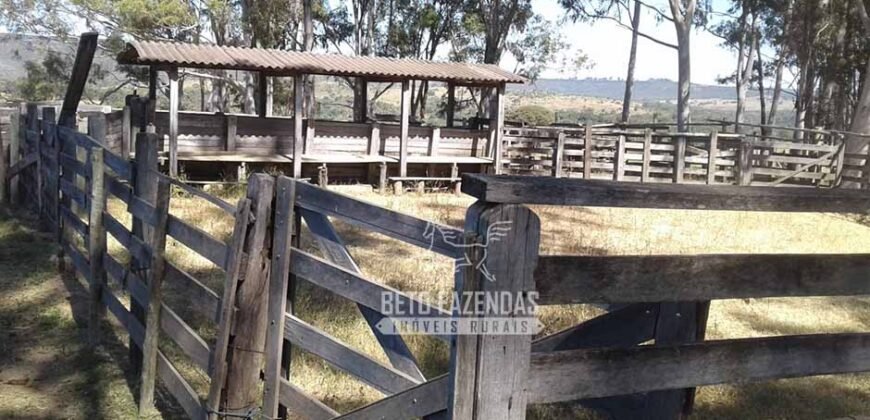Fazenda Produtiva 3.260 hectares Lavoura de Cana e Eucalipto | João Pinheiro/MG Fazenda Produtiva 3.260 hectares Lavoura de Cana e Eucalipto | João Pinheiro/MG