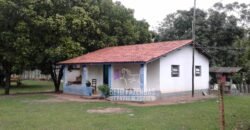 Fazenda Produtiva 3.260 hectares Lavoura de Cana e Eucalipto | João Pinheiro/MG Fazenda Produtiva 3.260 hectares Lavoura de Cana e Eucalipto | João Pinheiro/MG