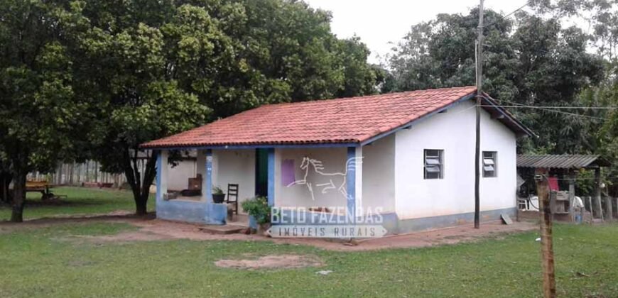 Fazenda Produtiva 3.260 hectares Lavoura de Cana e Eucalipto | João Pinheiro/MG Fazenda Produtiva 3.260 hectares Lavoura de Cana e Eucalipto | João Pinheiro/MG