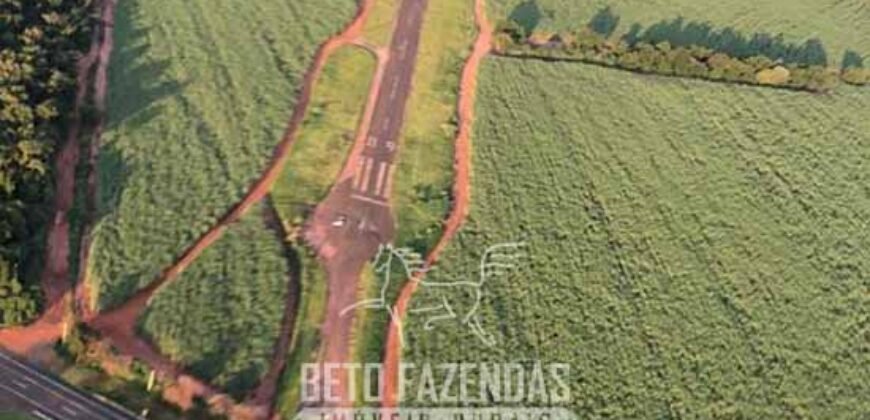 Extraordinária Fazenda à Venda 975 hectares Infraestrutura Completa de Soja | São Carlos/ SP Extraordinária Fazenda à Venda 975 hectares Infraestrutura Completa de Soja | São Carlos/ SP