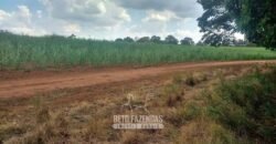 Extraordinária Fazenda à Venda 975 hectares Infraestrutura Completa de Soja | São Carlos/ SP Extraordinária Fazenda à Venda 975 hectares Infraestrutura Completa de Soja | São Carlos/ SP