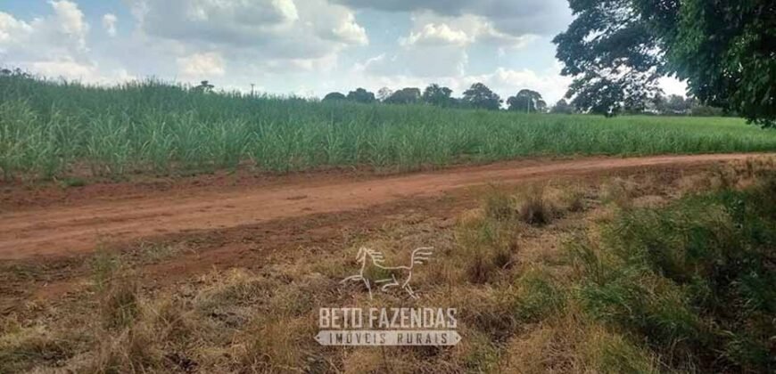 Extraordinária Fazenda à Venda 975 hectares Infraestrutura Completa de Soja | São Carlos/ SP Extraordinária Fazenda à Venda 975 hectares Infraestrutura Completa de Soja | São Carlos/ SP