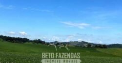 Extraordinária Fazenda à Venda 975 hectares Infraestrutura Completa de Soja | São Carlos/ SP Extraordinária Fazenda à Venda 975 hectares Infraestrutura Completa de Soja | São Carlos/ SP