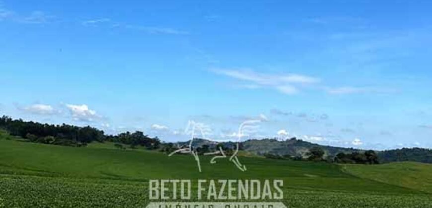 Extraordinária Fazenda à Venda 975 hectares Infraestrutura Completa de Soja | São Carlos/ SP Extraordinária Fazenda à Venda 975 hectares Infraestrutura Completa de Soja | São Carlos/ SP