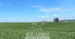 Extraordinária Fazenda à Venda 975 hectares Infraestrutura Completa de Soja | São Carlos/ SP Extraordinária Fazenda à Venda 975 hectares Infraestrutura Completa de Soja | São Carlos/ SP