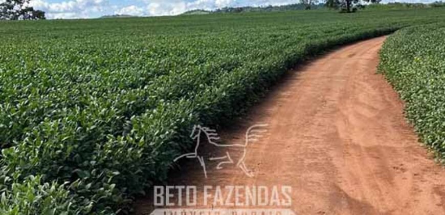 Extraordinária Fazenda à Venda 975 hectares Infraestrutura Completa de Soja | São Carlos/ SP Extraordinária Fazenda à Venda 975 hectares Infraestrutura Completa de Soja | São Carlos/ SP