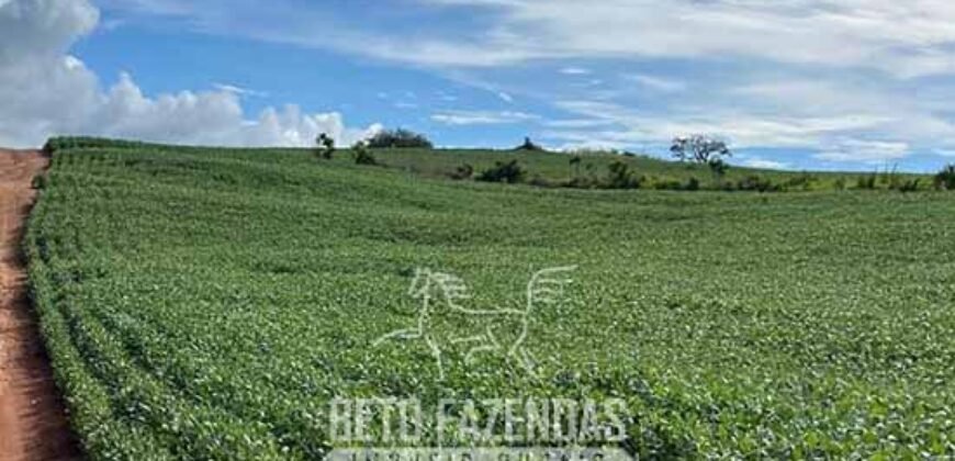 Extraordinária Fazenda à Venda 975 hectares Infraestrutura Completa de Soja | São Carlos/ SP Extraordinária Fazenda à Venda 975 hectares Infraestrutura Completa de Soja | São Carlos/ SP