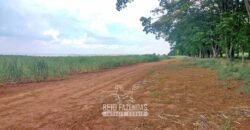 Extraordinária Fazenda à Venda 975 hectares Infraestrutura Completa de Soja | São Carlos/ SP Extraordinária Fazenda à Venda 975 hectares Infraestrutura Completa de Soja | São Carlos/ SP