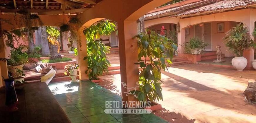 Extraordinária Fazenda à Venda 975 hectares Infraestrutura Completa de Soja | São Carlos/ SP Extraordinária Fazenda à Venda 975 hectares Infraestrutura Completa de Soja | São Carlos/ SP