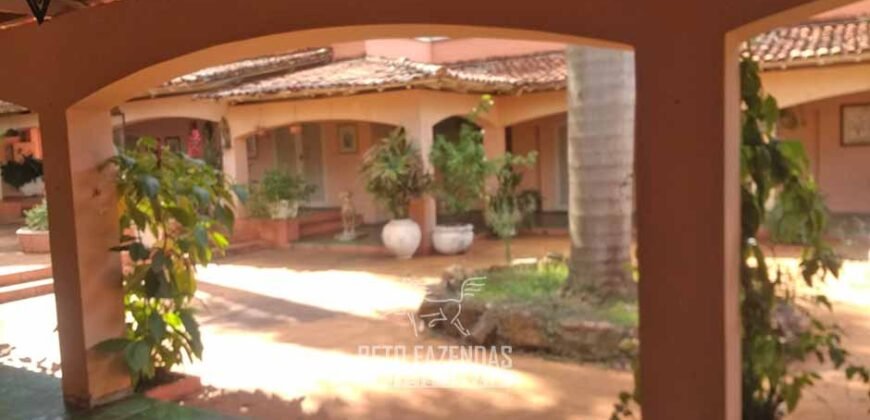 Extraordinária Fazenda à Venda 975 hectares Infraestrutura Completa de Soja | São Carlos/ SP Extraordinária Fazenda à Venda 975 hectares Infraestrutura Completa de Soja | São Carlos/ SP