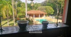 Extraordinária Fazenda à Venda 975 hectares Infraestrutura Completa de Soja | São Carlos/ SP Extraordinária Fazenda à Venda 975 hectares Infraestrutura Completa de Soja | São Carlos/ SP