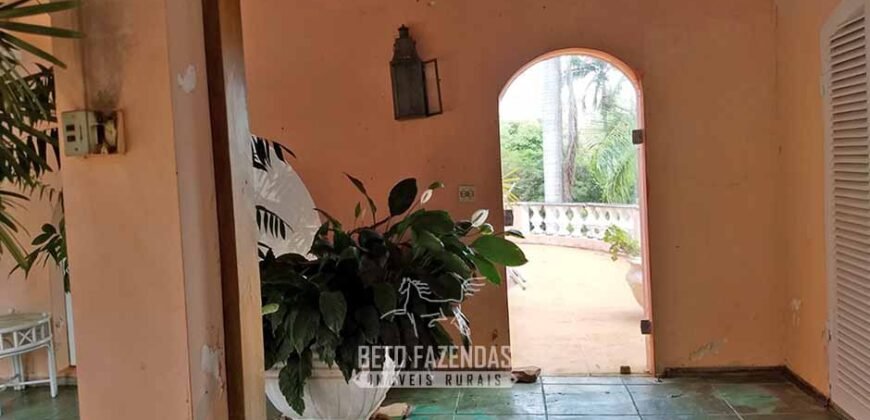 Extraordinária Fazenda à Venda 975 hectares Infraestrutura Completa de Soja | São Carlos/ SP Extraordinária Fazenda à Venda 975 hectares Infraestrutura Completa de Soja | São Carlos/ SP