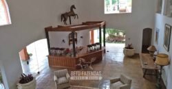 Extraordinária Fazenda à Venda 975 hectares Infraestrutura Completa de Soja | São Carlos/ SP Extraordinária Fazenda à Venda 975 hectares Infraestrutura Completa de Soja | São Carlos/ SP