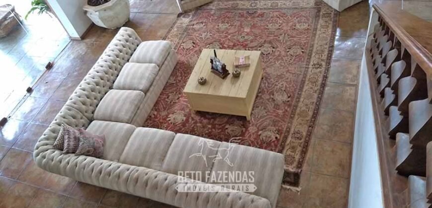 Extraordinária Fazenda à Venda 975 hectares Infraestrutura Completa de Soja | São Carlos/ SP Extraordinária Fazenda à Venda 975 hectares Infraestrutura Completa de Soja | São Carlos/ SP