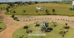 Fazenda de Alto Padrão 394,4 Has Montada na Pecuária Porteira Fechada | Próxima a São Paulo/ SP