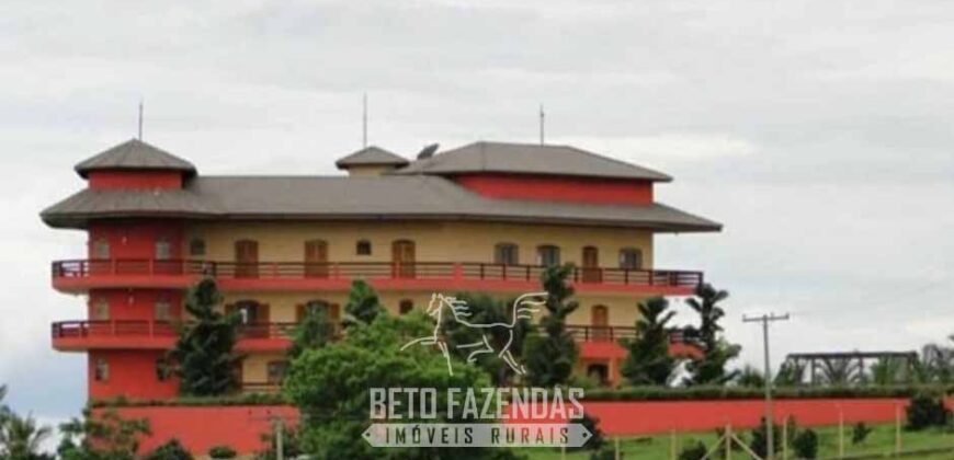 Fazenda de Alto Padrão 394,4 Has Montada na Pecuária Porteira Fechada | Próxima a São Paulo/ SP