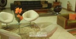 Fazenda de Alto Padrão 394,4 Has Montada na Pecuária Porteira Fechada | Próxima a São Paulo/ SP