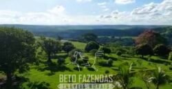 Fazenda de Alto Padrão 394,4 Has Montada na Pecuária Porteira Fechada | Próxima a São Paulo/ SP