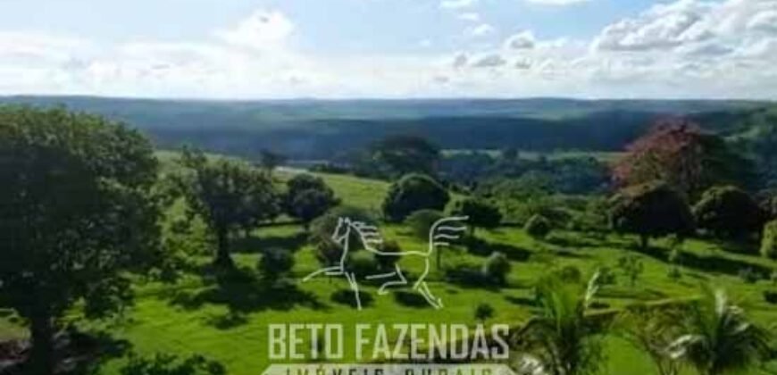 Fazenda de Alto Padrão 394,4 Has Montada na Pecuária Porteira Fechada | Próxima a São Paulo/ SP