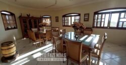 Fazenda de Alto Padrão 394,4 Has Montada na Pecuária Porteira Fechada | Próxima a São Paulo/ SP