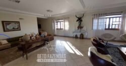 Fazenda de Alto Padrão 394,4 Has Montada na Pecuária Porteira Fechada | Próxima a São Paulo/ SP