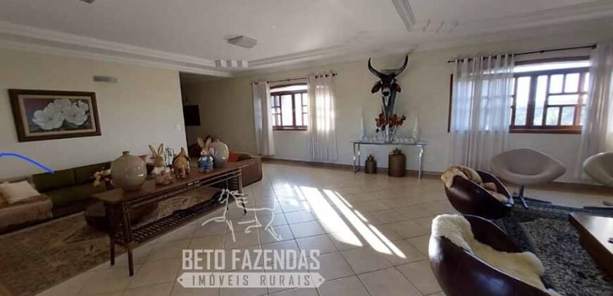 Fazenda de Alto Padrão 394,4 Has Montada na Pecuária Porteira Fechada | Próxima a São Paulo/ SP