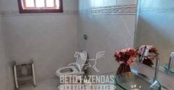 Fazenda de Alto Padrão 394,4 Has Montada na Pecuária Porteira Fechada | Próxima a São Paulo/ SP