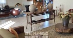 Fazenda de Alto Padrão 394,4 Has Montada na Pecuária Porteira Fechada | Próxima a São Paulo/ SP