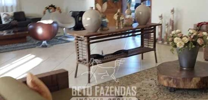 Fazenda de Alto Padrão 394,4 Has Montada na Pecuária Porteira Fechada | Próxima a São Paulo/ SP