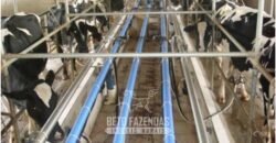 Fazenda de Alto Padrão 394,4 Has Montada na Pecuária Porteira Fechada | Próxima a São Paulo/ SP