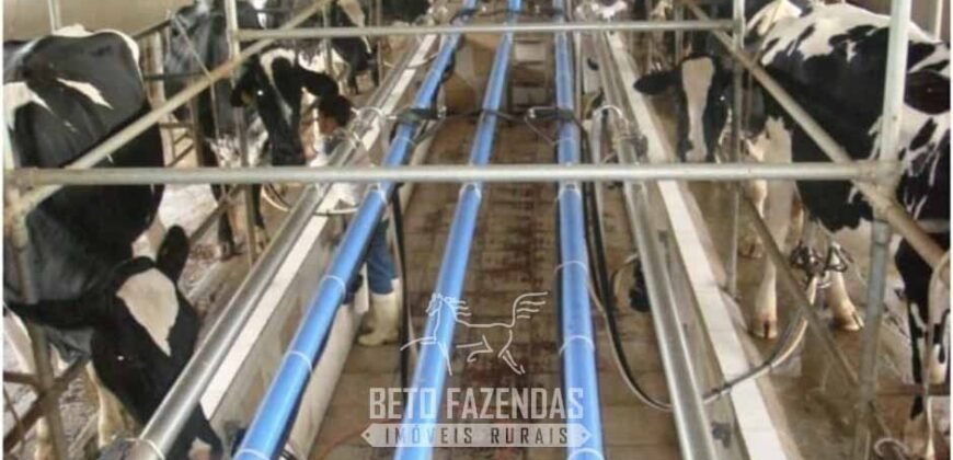 Fazenda de Alto Padrão 394,4 Has Montada na Pecuária Porteira Fechada | Próxima a São Paulo/ SP