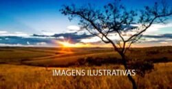 Fazenda 9.000 hectares no Cerrado Maranhense Documentação Regularizada | Morros/ MA