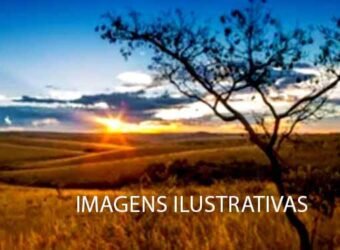 Fazenda 9.000 hectares no Cerrado Maranhense Documentação Regularizada | Morros/ MA