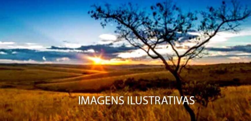 Fazenda 9.000 hectares no Cerrado Maranhense Documentação Regularizada | Morros/ MA