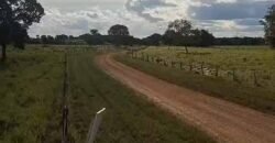 Fazenda Extraordinária Porteira Fechada 17.530 hectares no Sudoeste do Tocantins – Dupla Aptidão!