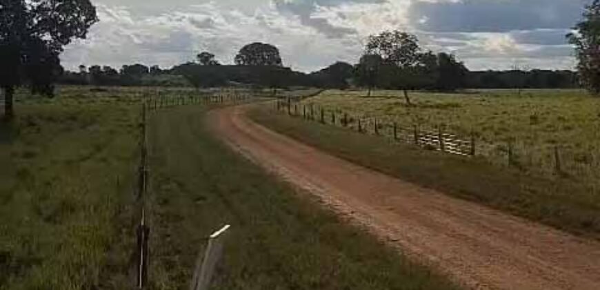 Fazenda Extraordinária Porteira Fechada 17.530 hectares no Sudoeste do Tocantins – Dupla Aptidão!