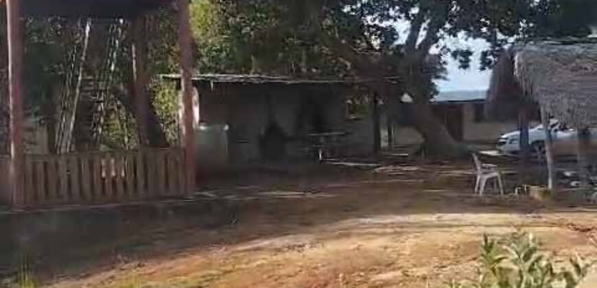 Fazenda Extraordinária Porteira Fechada 17.530 hectares no Sudoeste do Tocantins – Dupla Aptidão!