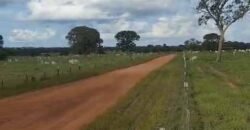 Fazenda Extraordinária Porteira Fechada 17.530 hectares no Sudoeste do Tocantins – Dupla Aptidão!