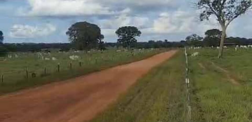 Fazenda Extraordinária Porteira Fechada 17.530 hectares no Sudoeste do Tocantins – Dupla Aptidão!