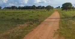 Fazenda Extraordinária Porteira Fechada 17.530 hectares no Sudoeste do Tocantins – Dupla Aptidão!