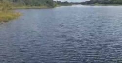 Fazenda Extraordinária Porteira Fechada 17.530 hectares no Sudoeste do Tocantins – Dupla Aptidão!