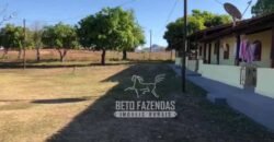 Extraordinária Fazenda para Pecuária à Venda 2.725 hectares  | Monte Alegre de Goiás/ GO