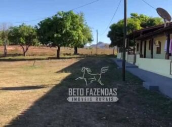 Extraordinária Fazenda para Pecuária à Venda 2.725 hectares | Monte Alegre de Goiás/ GO Extraordinária Fazenda para Pecuária à Venda 2.725 hectares | Monte Alegre de Goiás/ GO