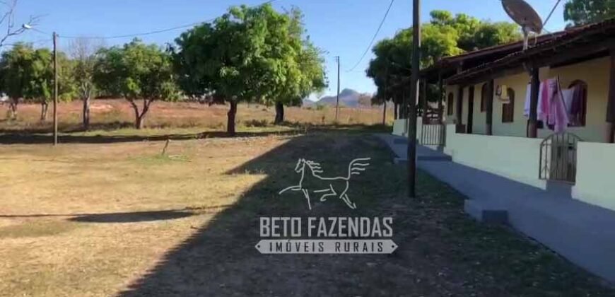 Extraordinária Fazenda para Pecuária à Venda 2.725 hectares  | Monte Alegre de Goiás/ GO