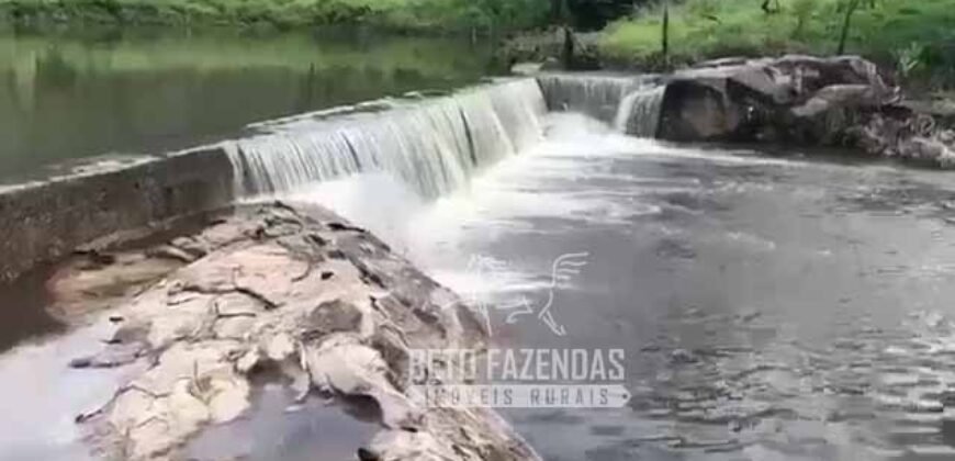 Extraordinária Fazenda para Pecuária à Venda 2.725 hectares  | Monte Alegre de Goiás/ GO