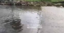 Extraordinária Fazenda para Pecuária à Venda 2.725 hectares  | Monte Alegre de Goiás/ GO