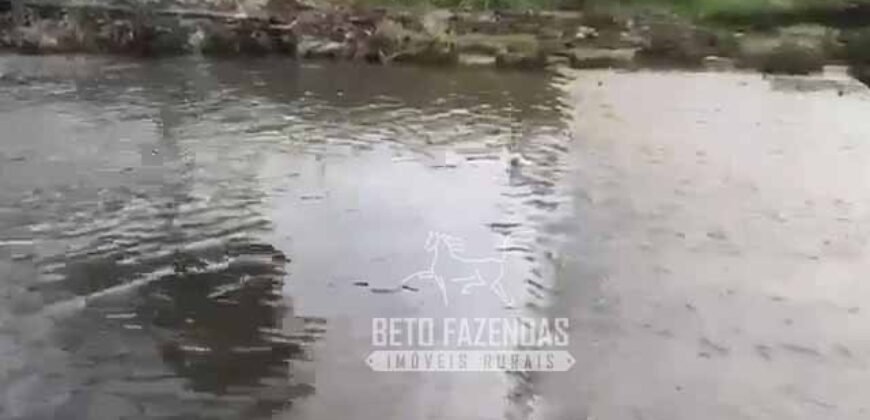 Extraordinária Fazenda para Pecuária à Venda 2.725 hectares  | Monte Alegre de Goiás/ GO