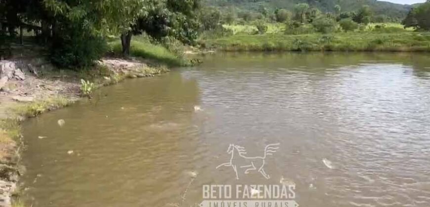 Extraordinária Fazenda para Pecuária à Venda 2.725 hectares  | Monte Alegre de Goiás/ GO